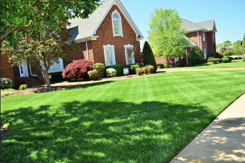 How to Create a Sustainable Lawn Care and Landscaping Plan